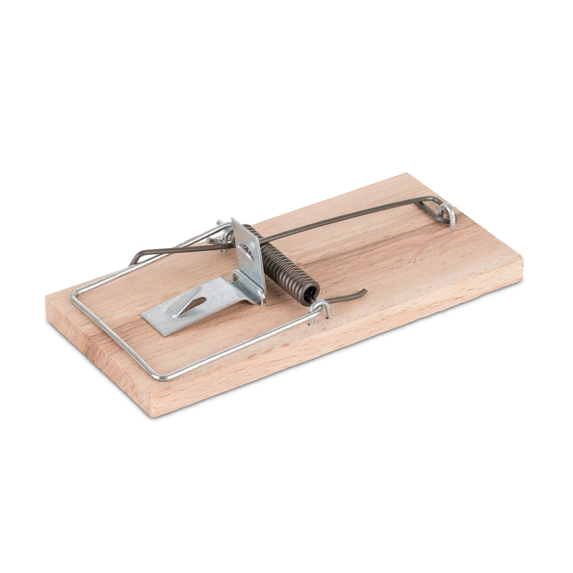 Pasca na myši drevená – buk